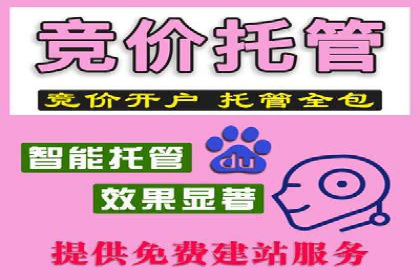 竞价广告的胜利：网络推广在金融行业的经典案例